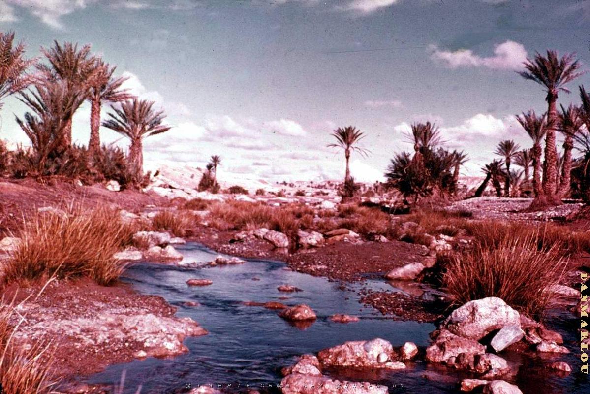 Colomb Bechar 045-collection Monneret.jpg